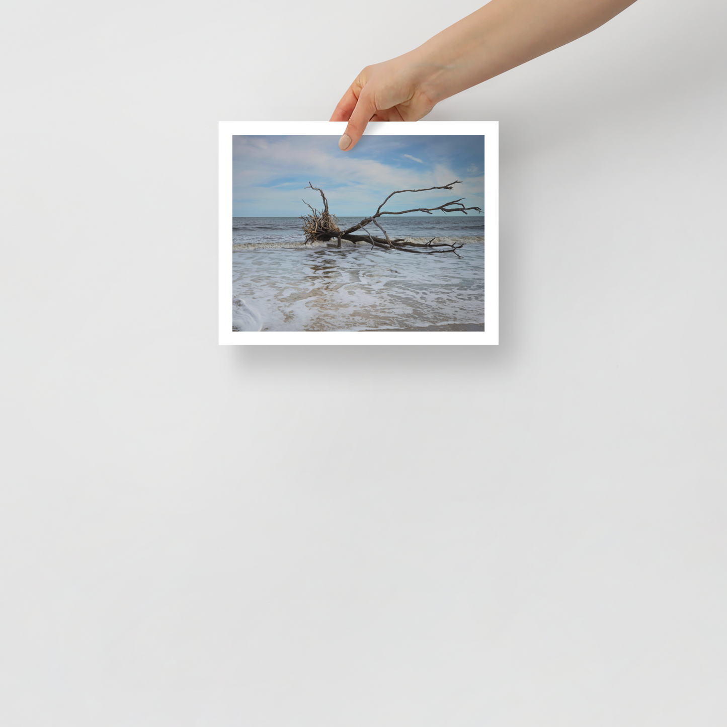 Botany Bay Poster
