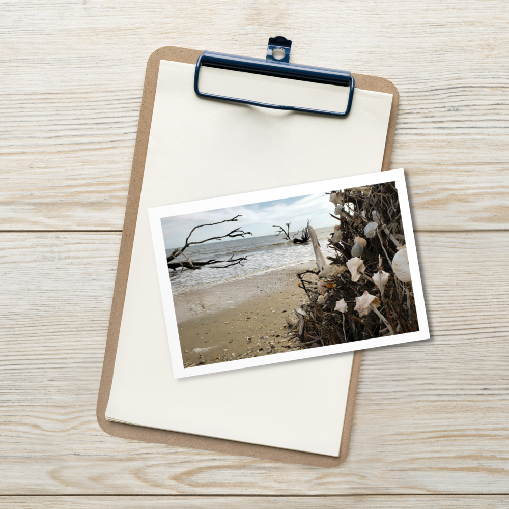 Botany Bay Postcard