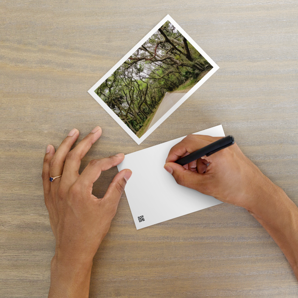 Coastal Woods Postcard